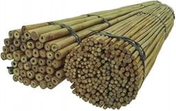 DIXIE STORE Baguettes en Bambou