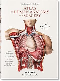 KO-Bourgery, atlas d’anatomie & chirurgie