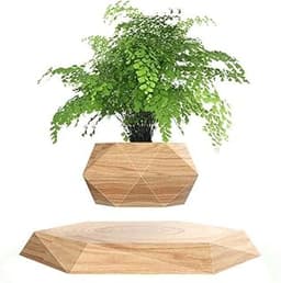 Plante en lévitation Kiko-ershaa