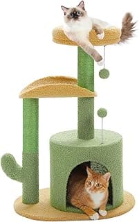 Arbre à chat compact