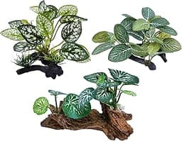 M2cbridge Plantes artificielles en Soie pour Aquarium