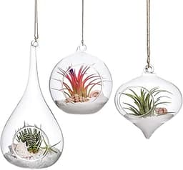 Mkouo 3 Pack Jardinières Suspendues