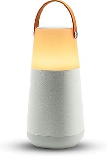 ION Bright Max