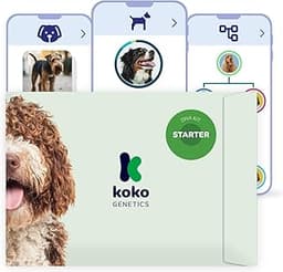 Koko Genetics Test ADN