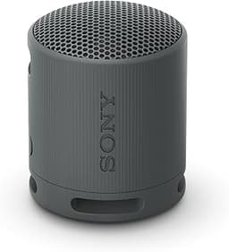 Sony SRS-XB100