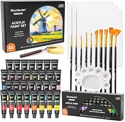 Kit de Peinture Acrylique Shuttle Art