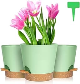 Pots OFFCUP