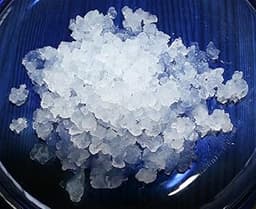 Granules de Kéfir d’Eau