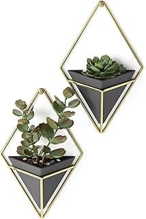 Umbra Trigg Jardinière Suspendue