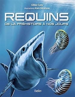 REQUINS: De la préhistoire à nos jours