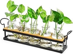 Vase en verre THYGIFTREE