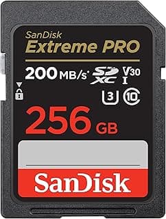 SanDisk Extreme PRO 256 Go
