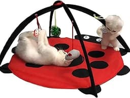 Tofern Tapis de Jeux pour Chat