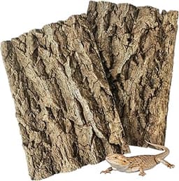Toiles de Fond en Écorce de Liège Naturel