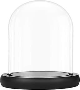 Cloche en verre 17 cm avec base bois noir