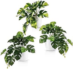 Lot de 3 Monstera Artificielles