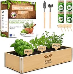 Kit potager d’intérieur
