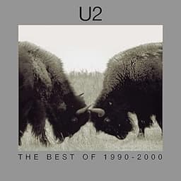 Vinyle ‘The Best Of 1990-2000’
