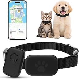 Traceur GPS Chat Chien compatible iOS & Android (sans frais)