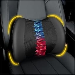 Lofty Aim Coussin de soutien lombaire