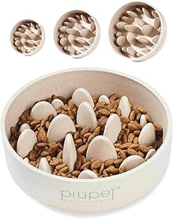 PiuPet Gamelle anti‑glouton