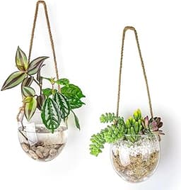 Ivolador Lot de 2 Pots de Fleurs en Verre à Suspendre au Mur