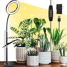 Lampe flexible 360°