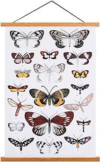 Cadre poster magnétique Ywlake 80 cm