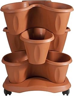 Bama 30015 - Set de pots à triple compartiment
