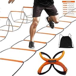 ALPHAWORX Échelle d’Agilité