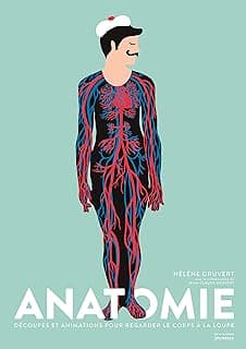 Anatomie