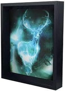 Cadre 3D Harry Potter