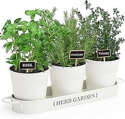 PERFNIQUE Jardin d'herbes aromatiques d'intérieur