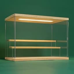 Nonemey Vitrine pour Collection en Acrylique Transparente avec Éclairage LED Tricolore