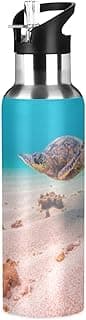 Gourde tortue inox