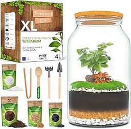DIY terrarium XL PYEF CRAFTS