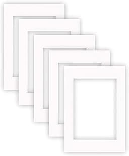 Passe-partout A3 Nielsen Conservation (set de 5)