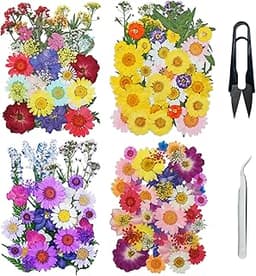 Fleurs séchées 160 pcs