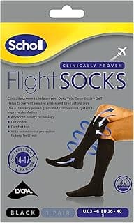 Scholl Bas Avion