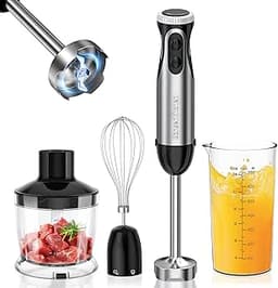 Mixeur plongeant 4-en-1 Bonsenkitchen