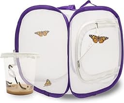 Kit d'élevage de Papillons pour débutants