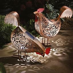 Lampes solaires poules