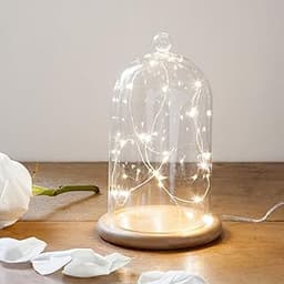 Cloche Verre LED Lights4fun