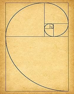 Poster Fibonacci Spirale d’or – Wallbuddy