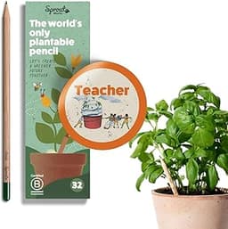 Crayons graphite SproutWorld à planter