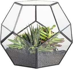 Terrarium Géométrique Dodécaèdre NCYP