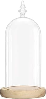 Cloche en verre BELLE VOUS 26,5 cm