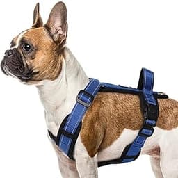 Harnais LiebeDD ergonomique en Y