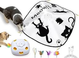 GoldenSun jouet interactif pour chat